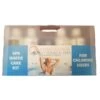 Chlorine Complete Spa Kit - Chlorine Granuals, PH +, PH -, FoamAway, Fusion, Spa Immerse, Test Strips, Guide
