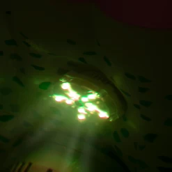 Lay-Z-Spa - 7 Colour LED Light - Fits All 2021/2022 Models -Pool Perfect Shop lay z spa led light web 3 1